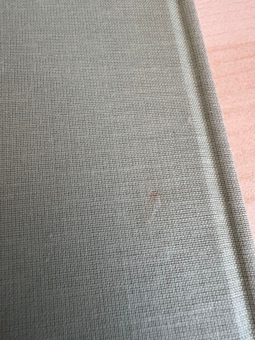 アート・デザイン・音楽 Terri Weifenbach the may sun