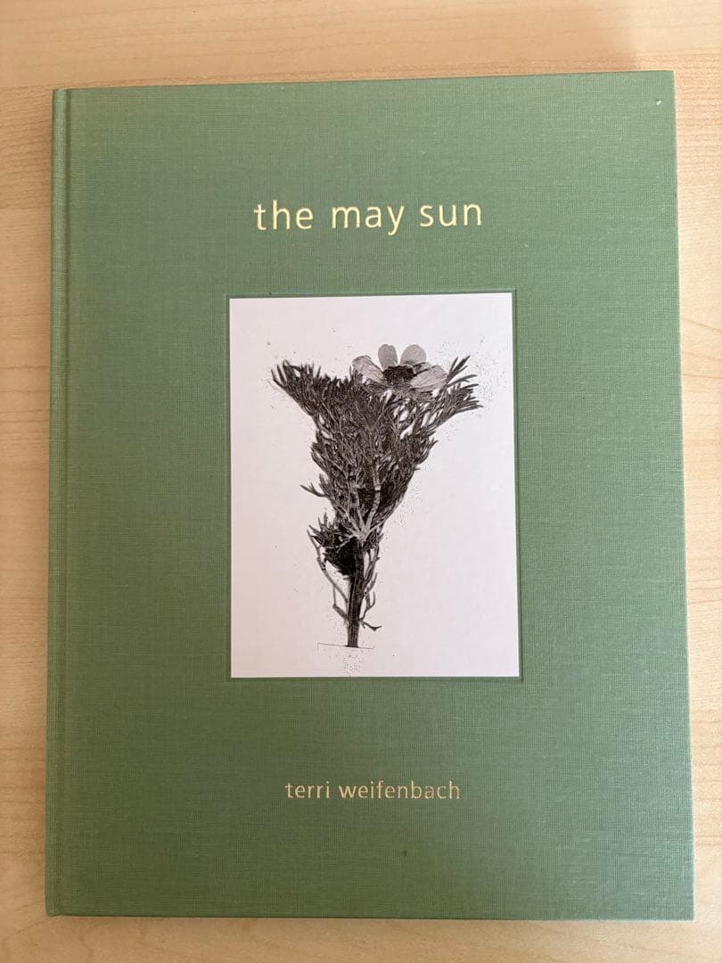 アート・デザイン・音楽 Terri Weifenbach the may sun