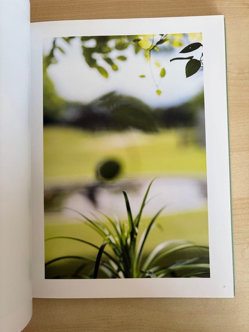 アート・デザイン・音楽 Terri Weifenbach the may sun