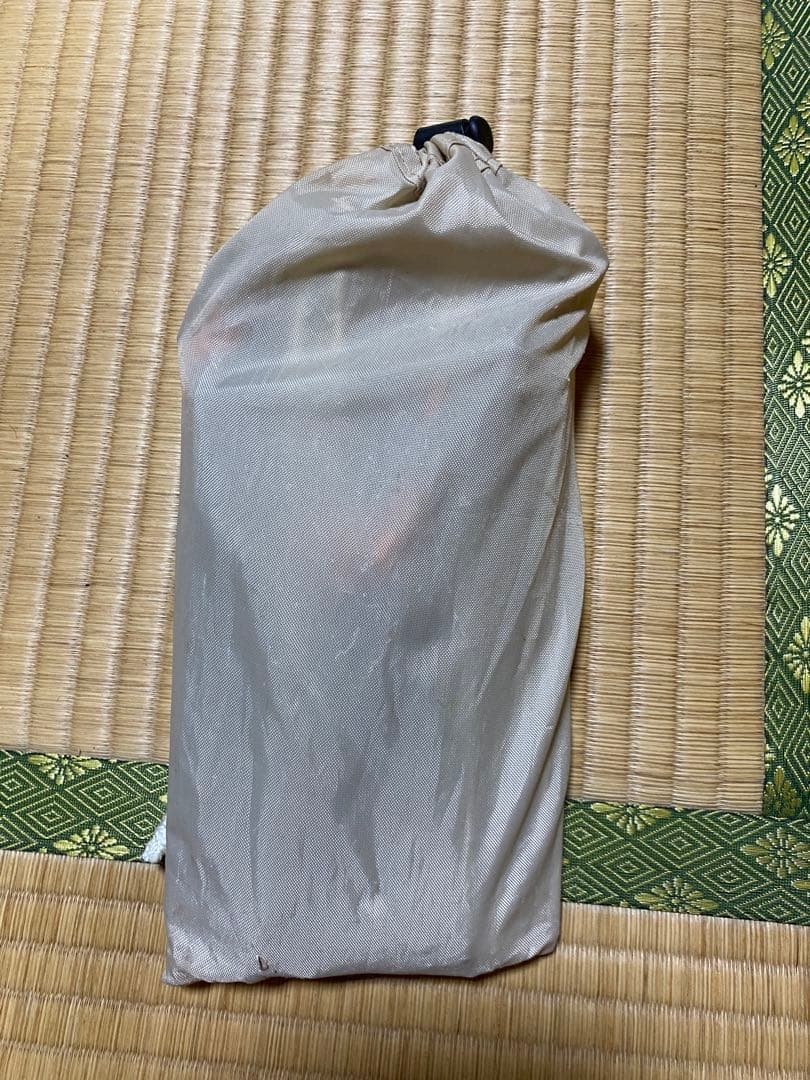 NEUTRAL outdoor GE Tent 3.0 キャンプテント