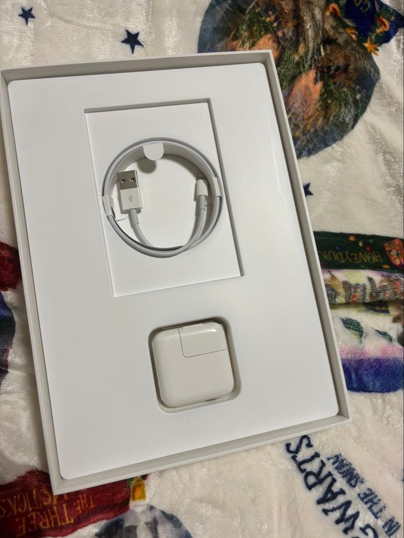 【ほぼ新品】Apple 第5世代iPad 32GB スペースグレイ