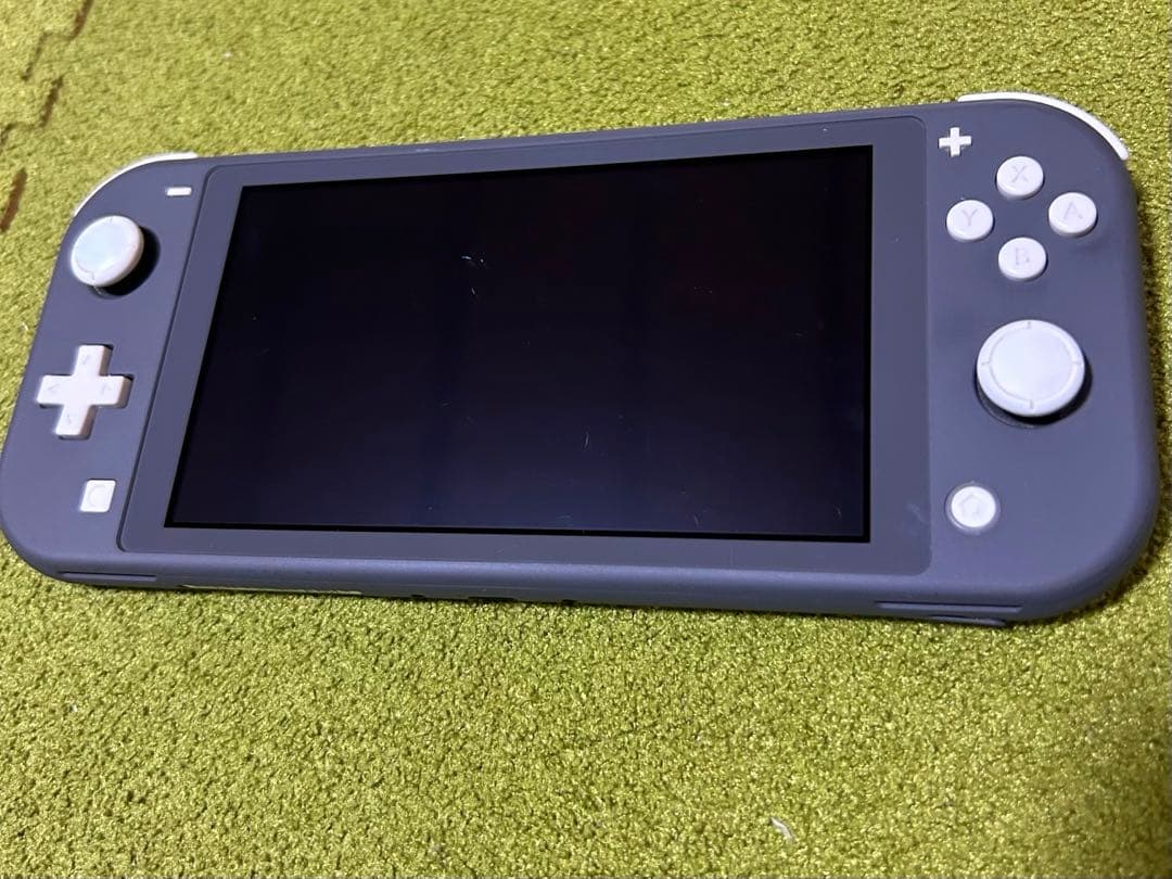 (動作確認済み)Nintendo Switch Lite グレー 本体