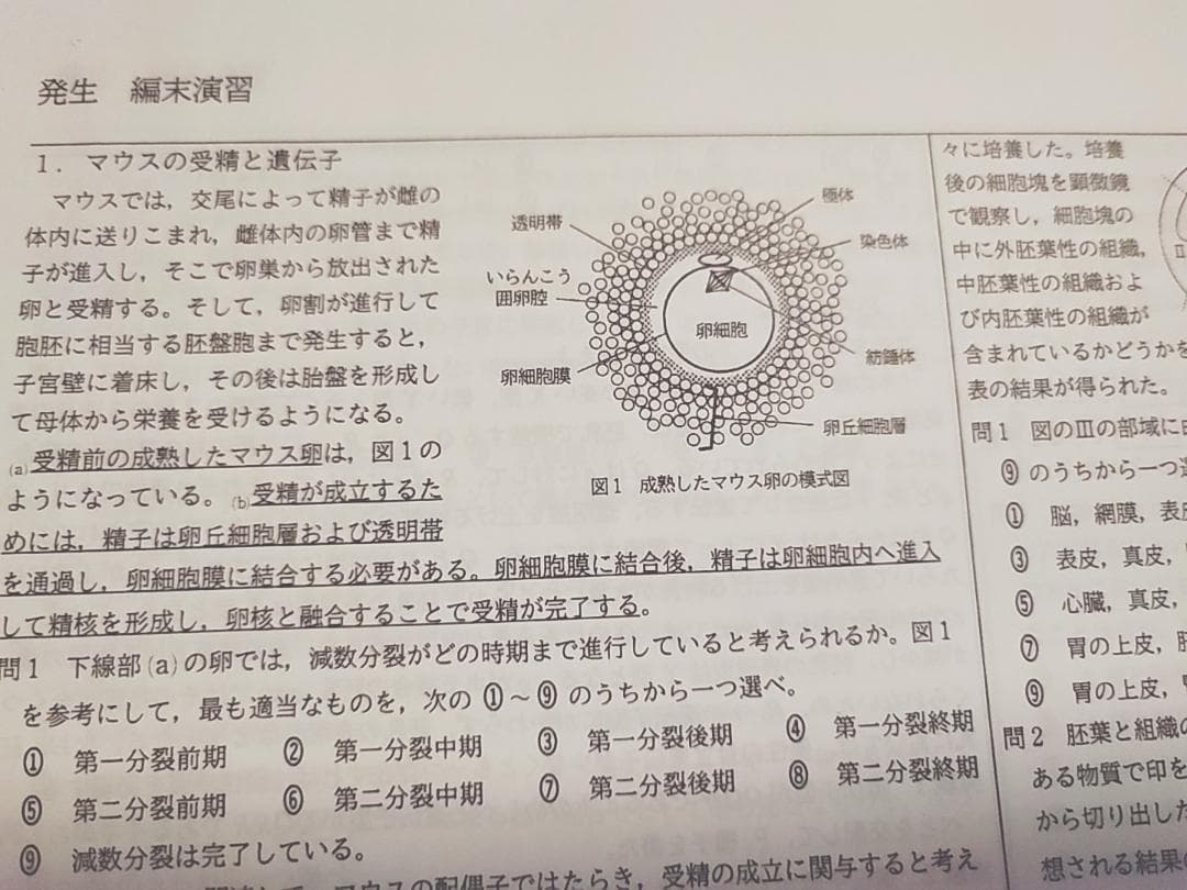 鉄緑会による上位クラス23年度最新版高３生物演習プリントフルセット　駿台　河合塾