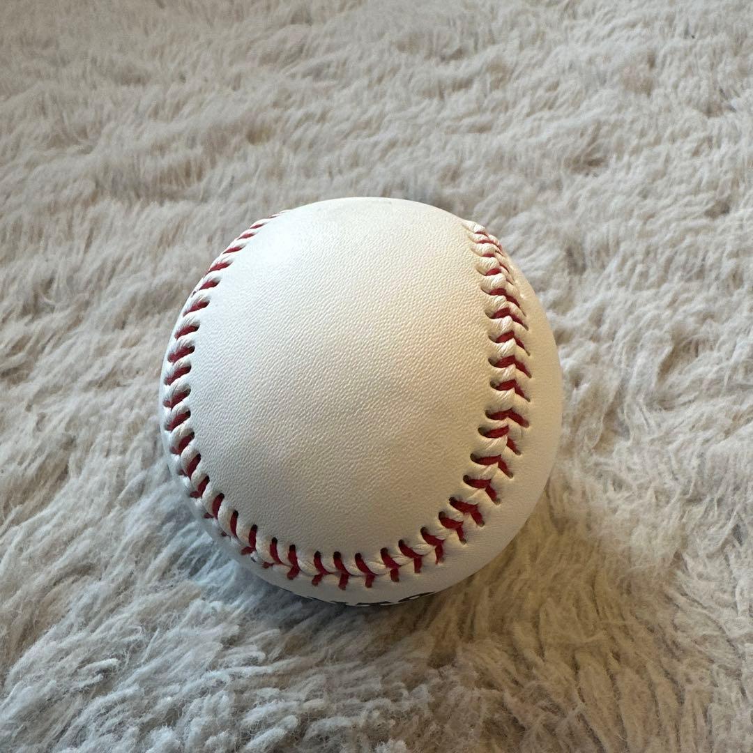 GIANTS岡本和真選手投げ込み直筆サインボール