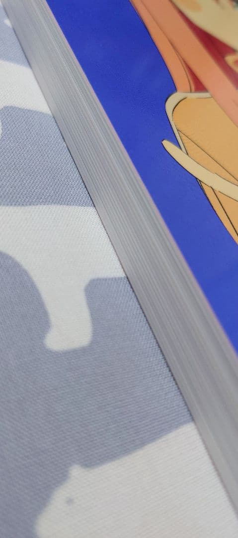 c102　FROG SKETCH　ぼっちざろっくのしごと　修正原画集