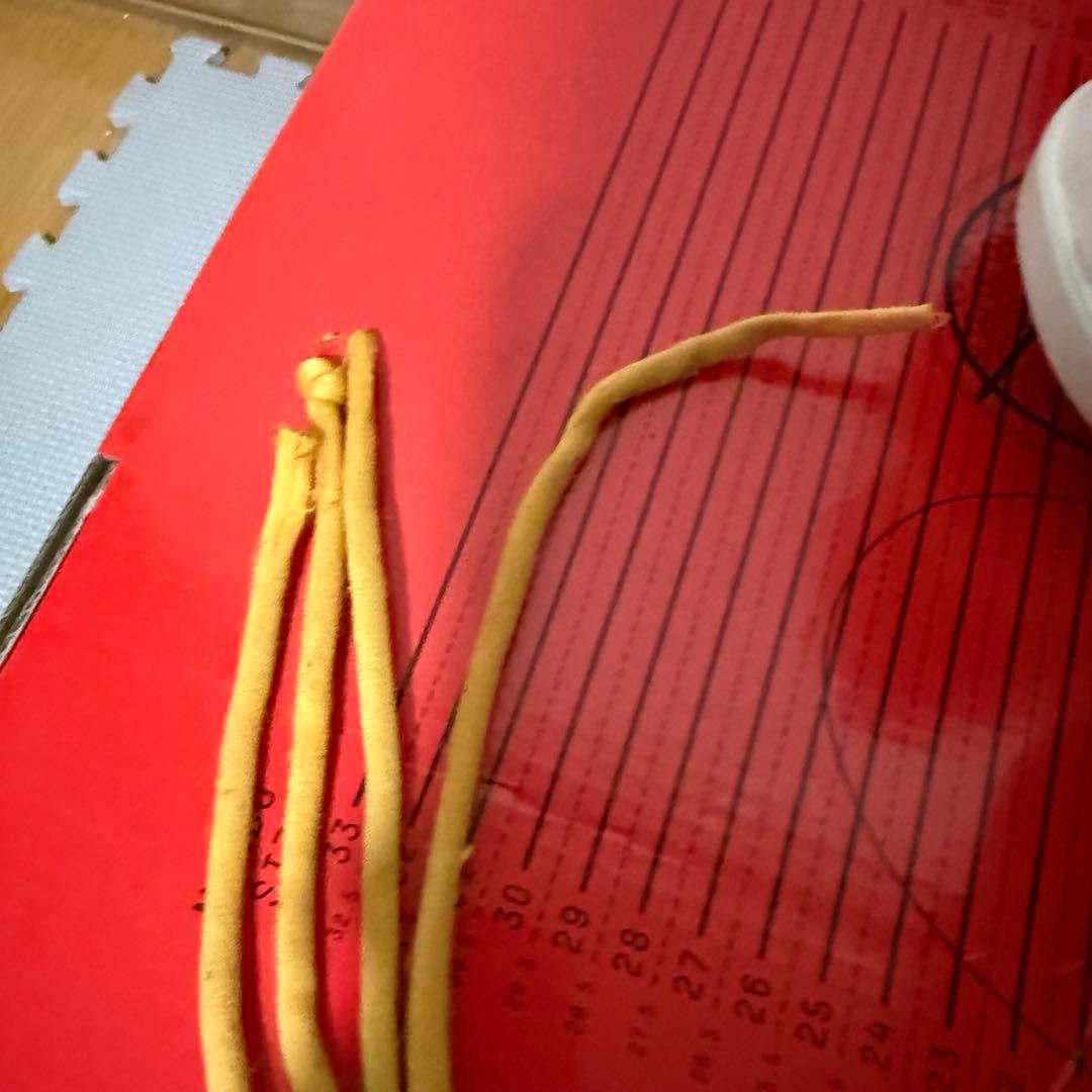 DEELUXE DNA Pro 23.0㎝ インソーツ付き