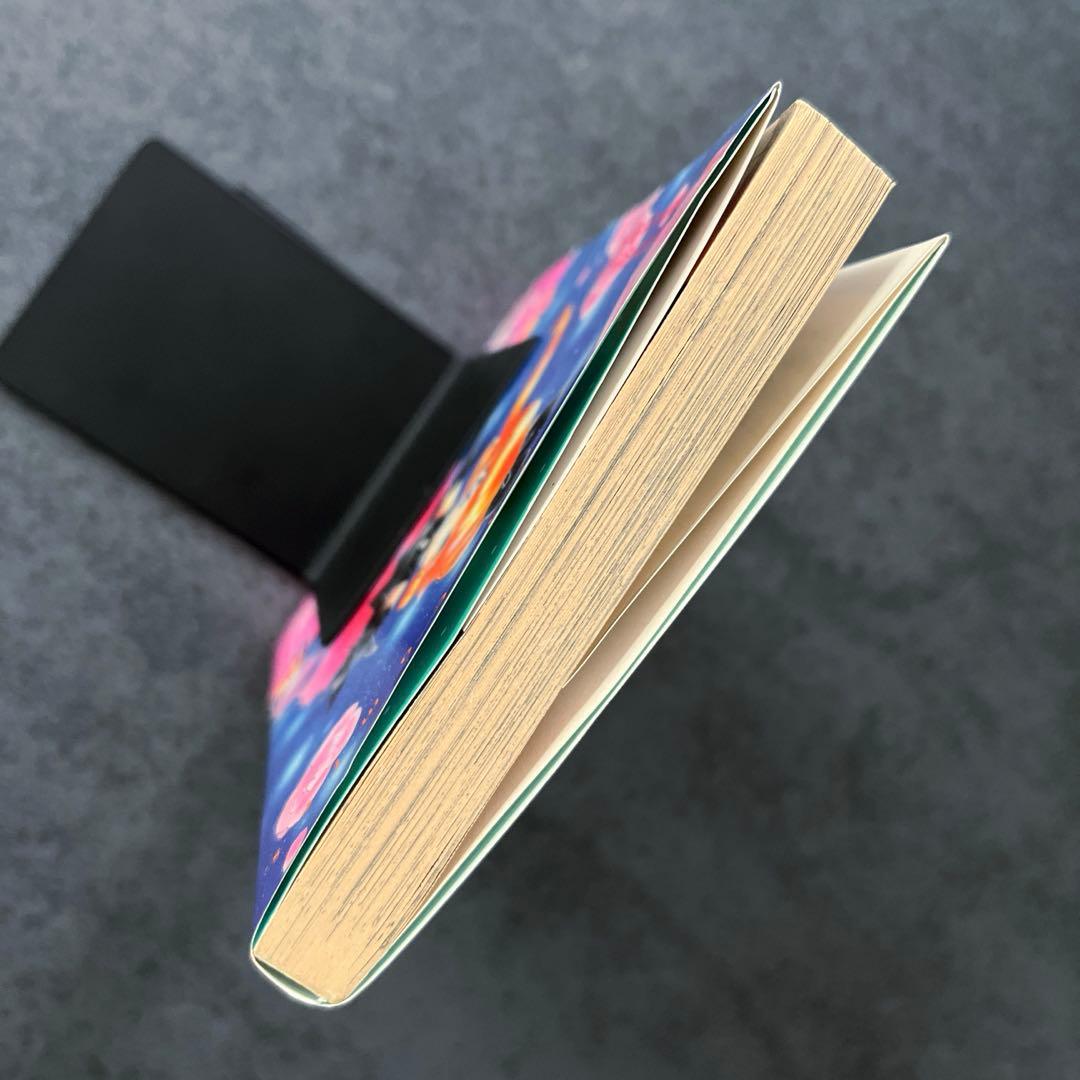 ✴︎希少✴︎初版帯付き✴︎怪盗セイントテール 1巻 立川恵 一巻