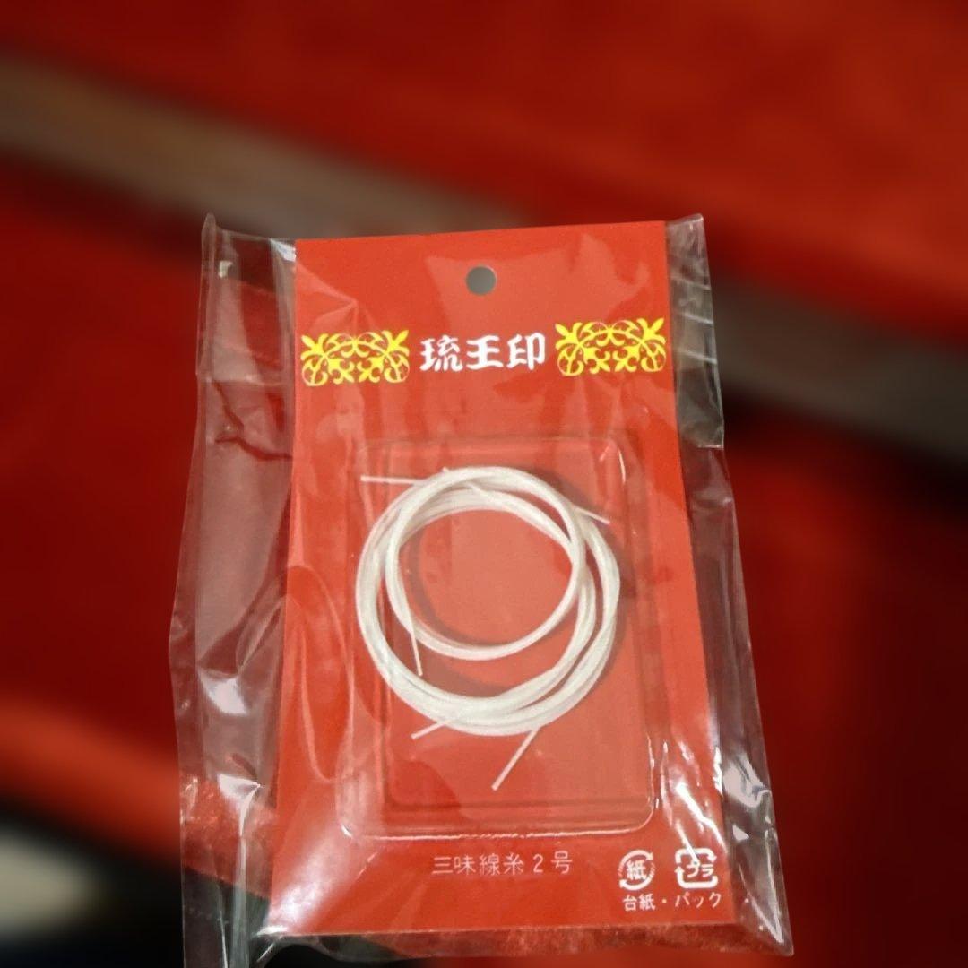 沖縄　三線　弦楽器　ソフトケース付き　リュックタイプ