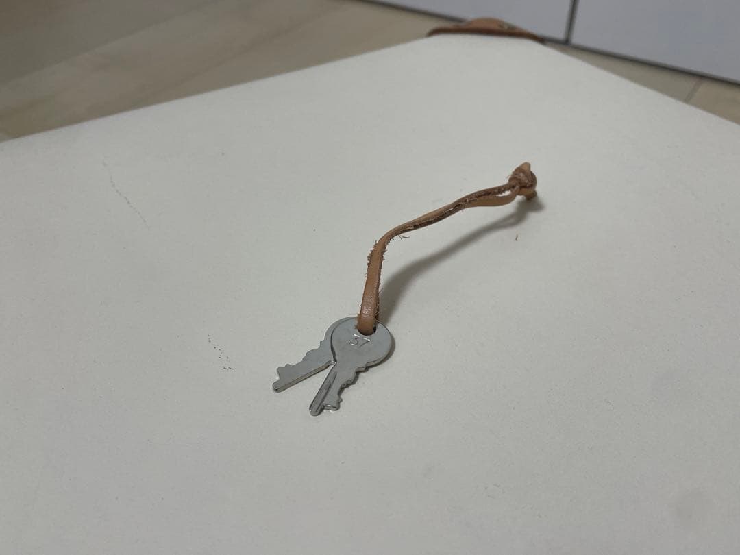 グローブトロッター エアキャビン サファリ 18インチ ベージュ