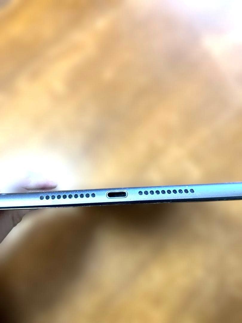 ろ*ー様 【訳あり】Apple iPad mini (第5世代) 256GB