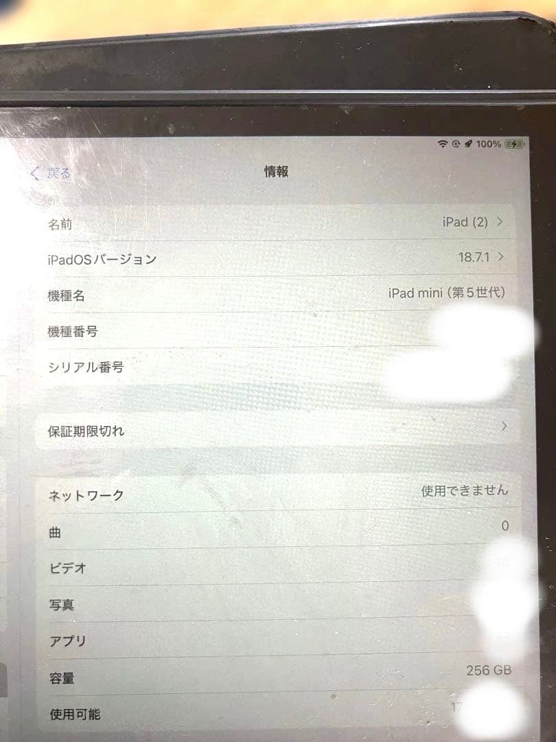 ろ*ー様 【訳あり】Apple iPad mini (第5世代) 256GB