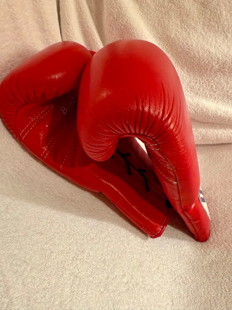 Winning ボクシンググローブ 8oz 赤　中古