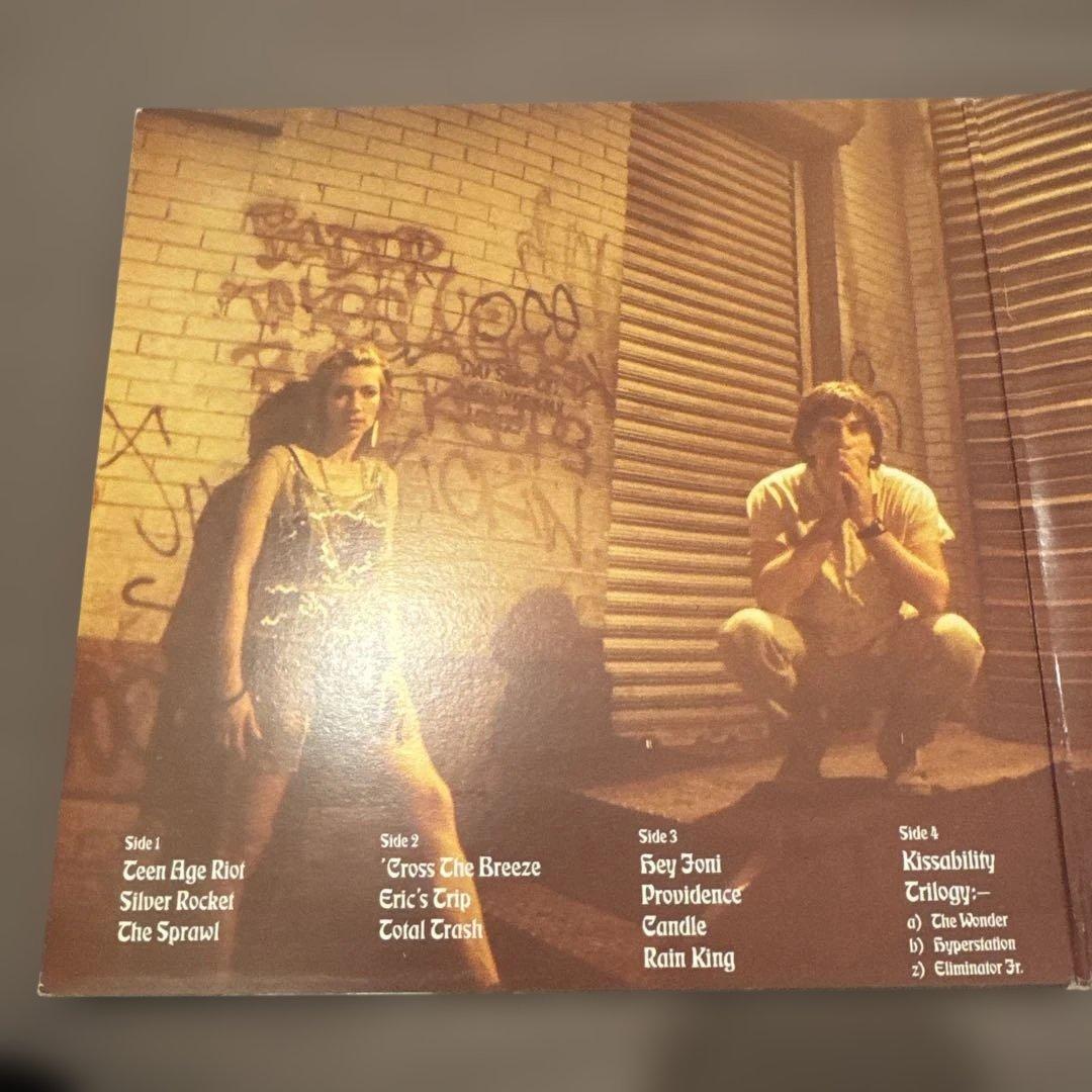 Sonic Youth Daydream Nation レコード