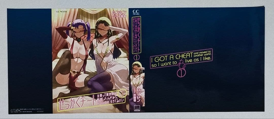 せっかくチートを貰って異世界に転移したんだから 全10巻セット 特典 ほぼ未開封