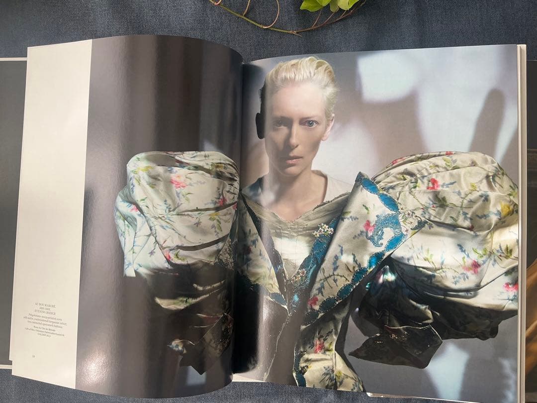 洋書　Impossible Wardrobes Tilda Swinton
