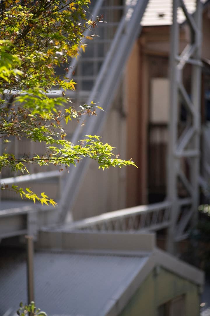 特価/Nikkor-P.C 105mm f/2.5 レンズ