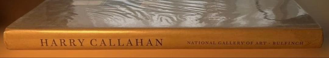 アート・デザイン・音楽 HARRY CALLAHAN / NATIONAL GALLERY OF ART