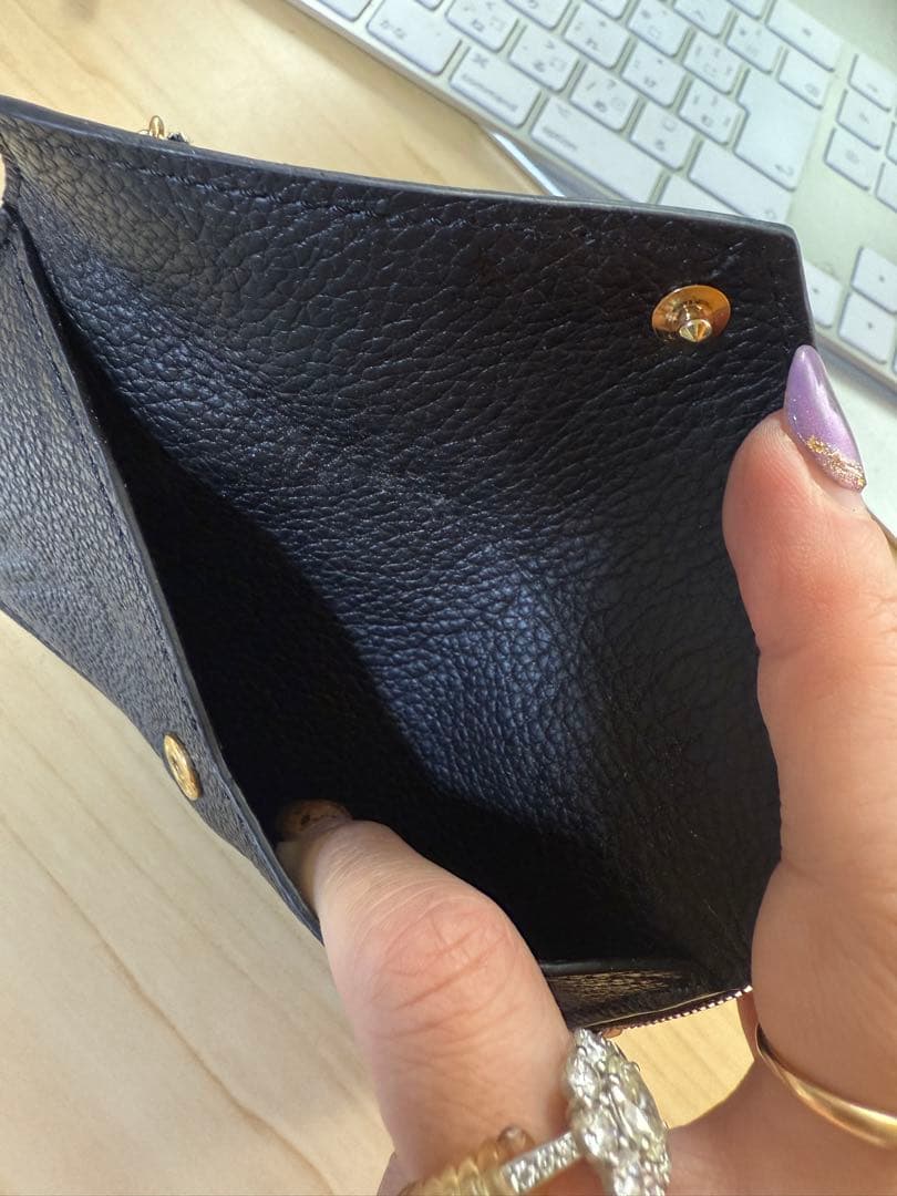 【要確認】最終値下Louis Vuitton ブラック ケース