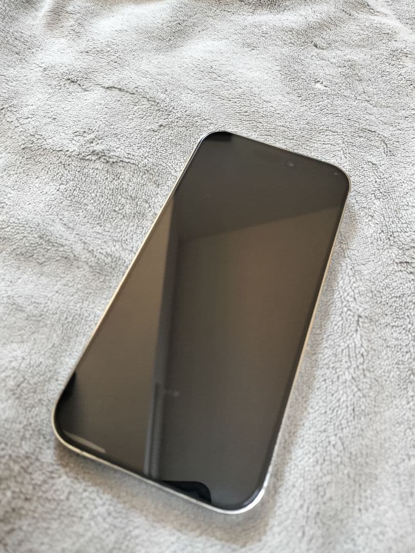 Apple iPhone 14 Proシルバー 256GB