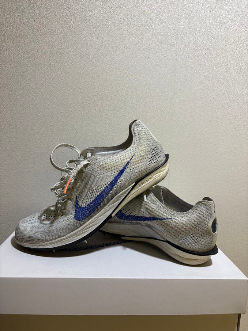 Nikeプロトタイプ ドラゴンフライ2 【23.5cm】