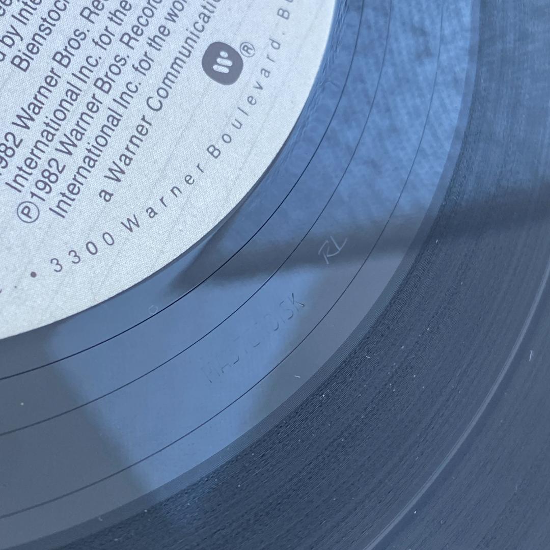 洋楽 LP Donald Fagen The Nightfly US ORG RL