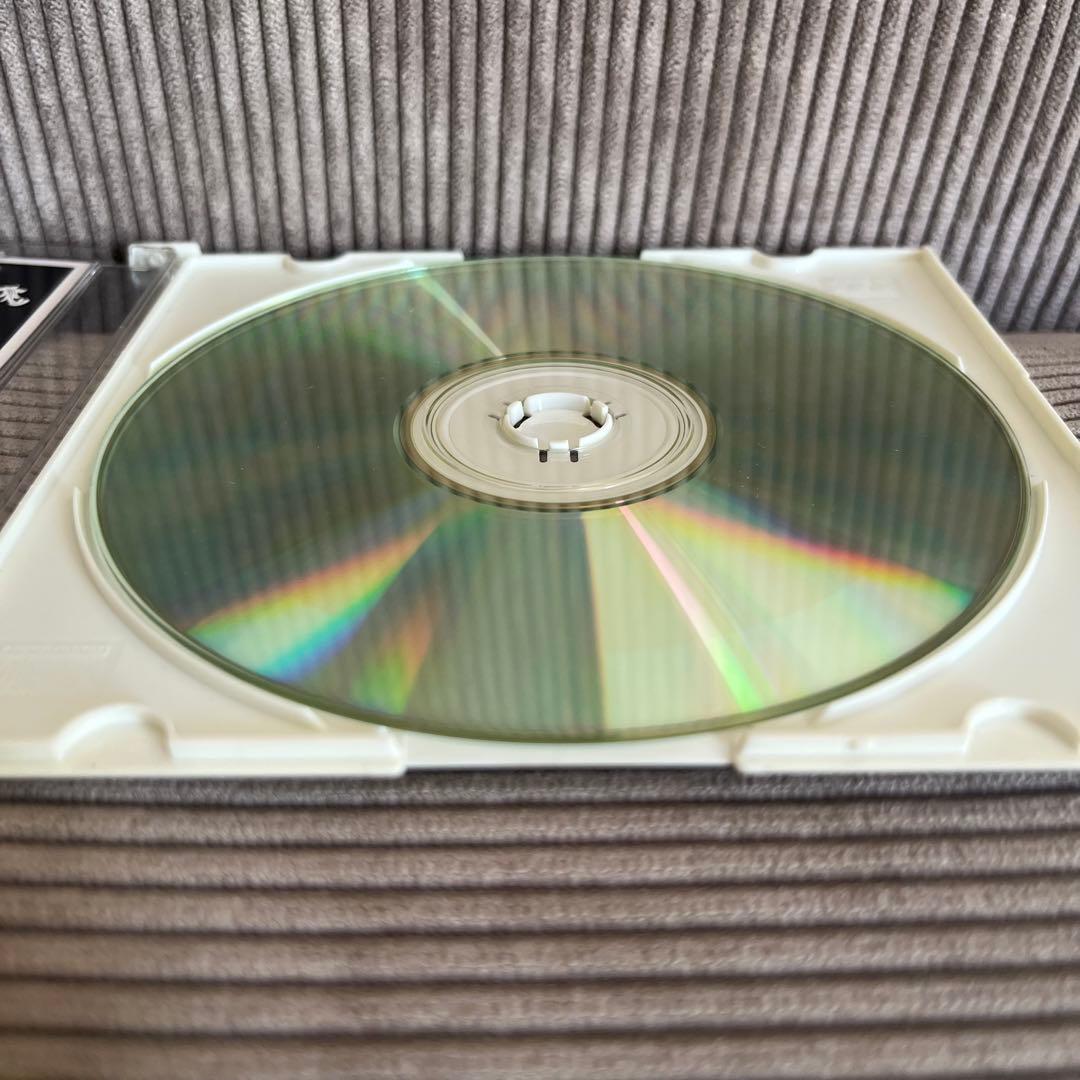 【レア】 BACKYARD／MUDDY MUZIC関連　4枚セット