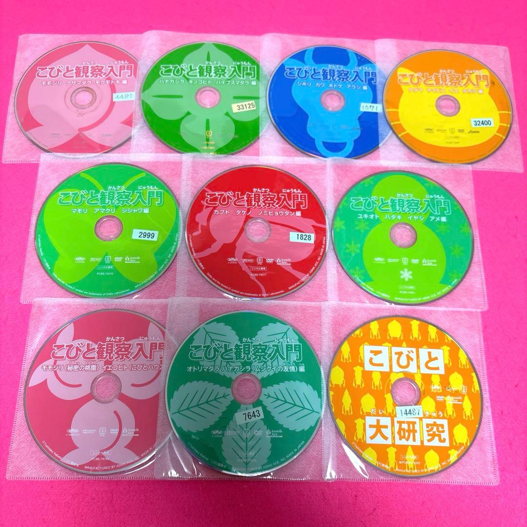 こびと観察入門 全9巻+こびと大研究 DVD 計10巻セット レンタル アニメ