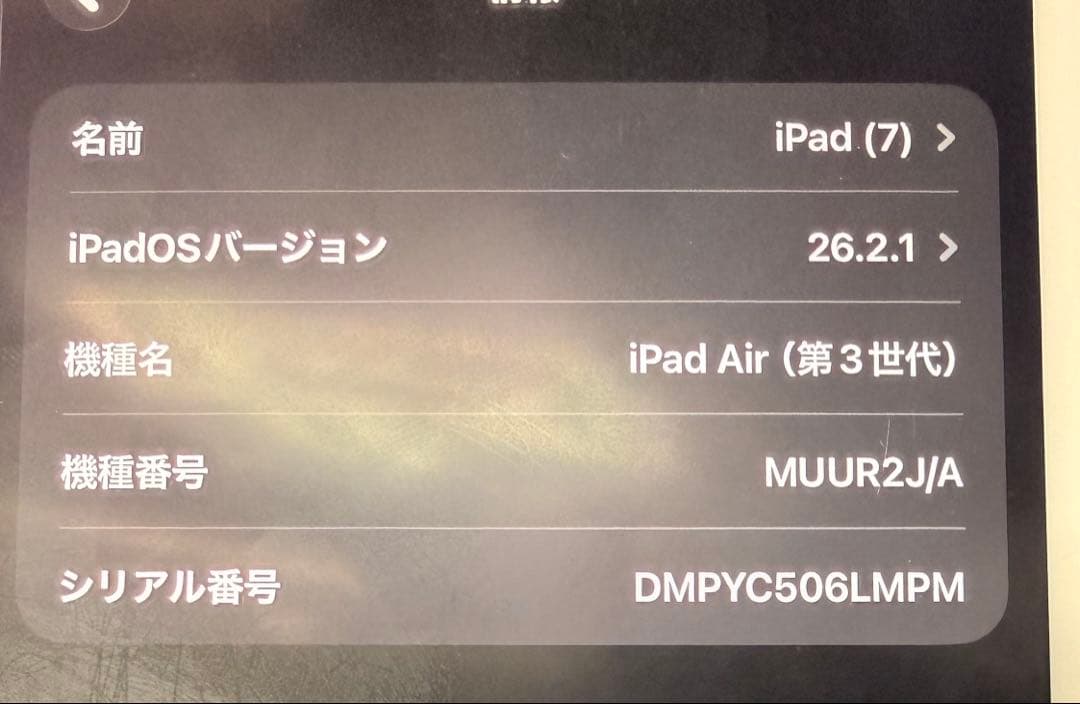iPad Air 第3世代 Wi-Fi 256GB MUUR2J/A シルバー