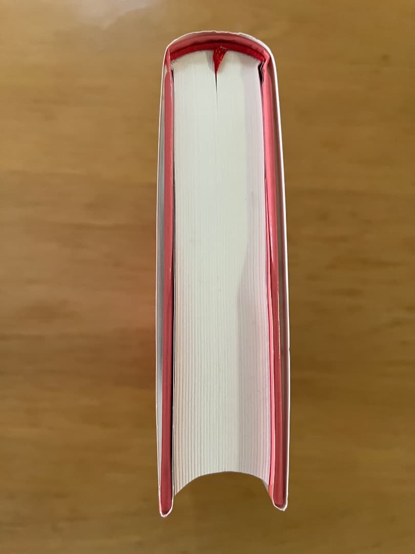 アミ 3度めの約束 エンリケ・バリオス