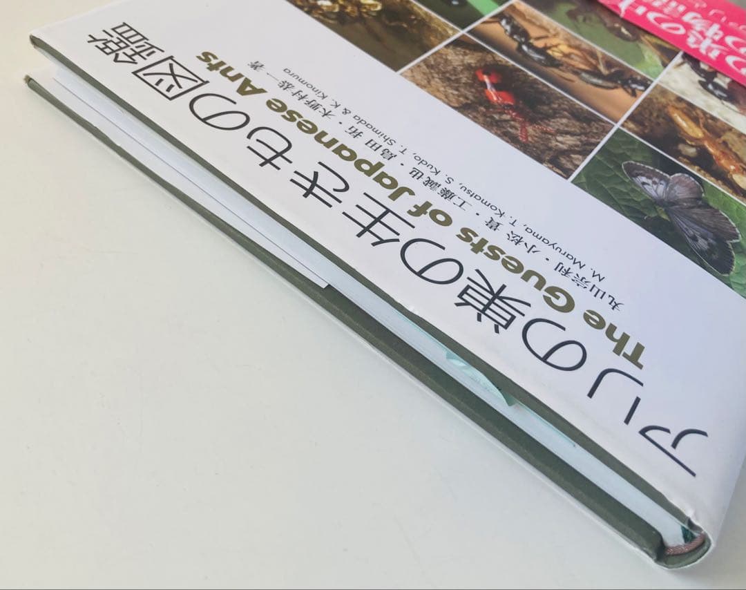 アリの巣の生きもの図鑑