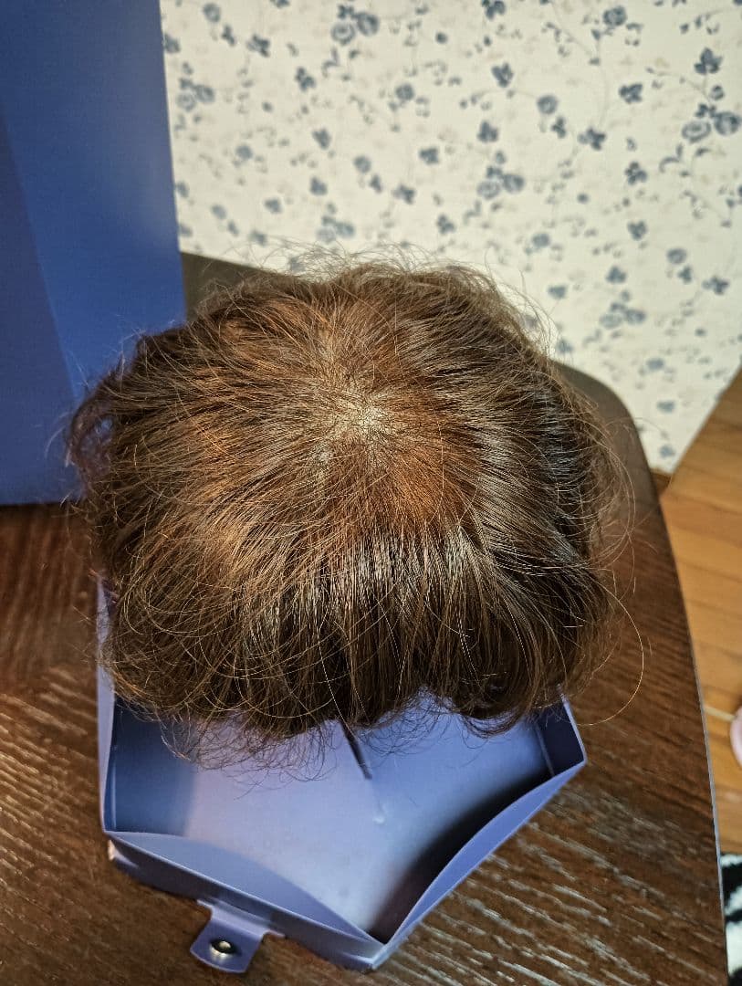 本日限定‼️価格変更中。 フォンテーヌ　ハーフウィッグ　シフォレ