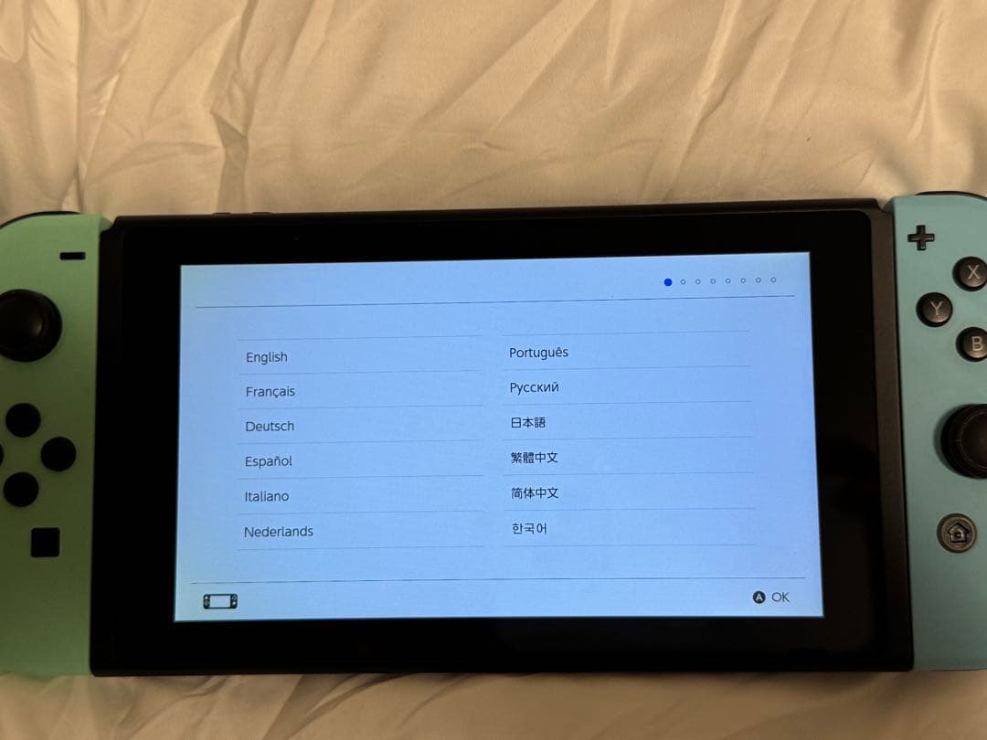 a*l様 Nintendo Switch どうぶつの森ver ホワイト/ミント