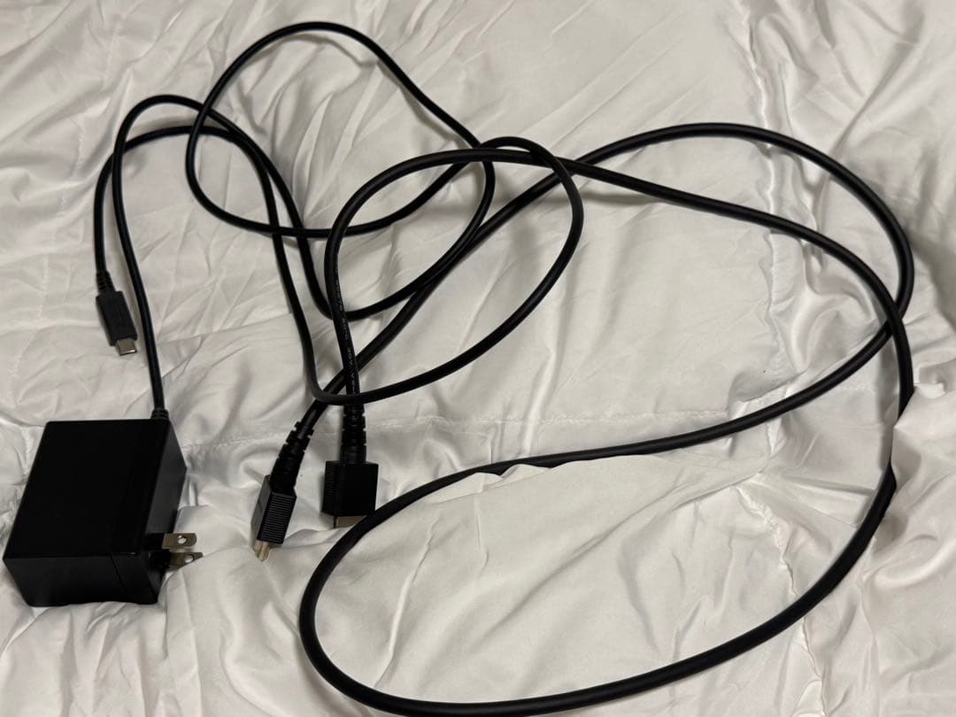 a*l様 Nintendo Switch どうぶつの森ver ホワイト/ミント