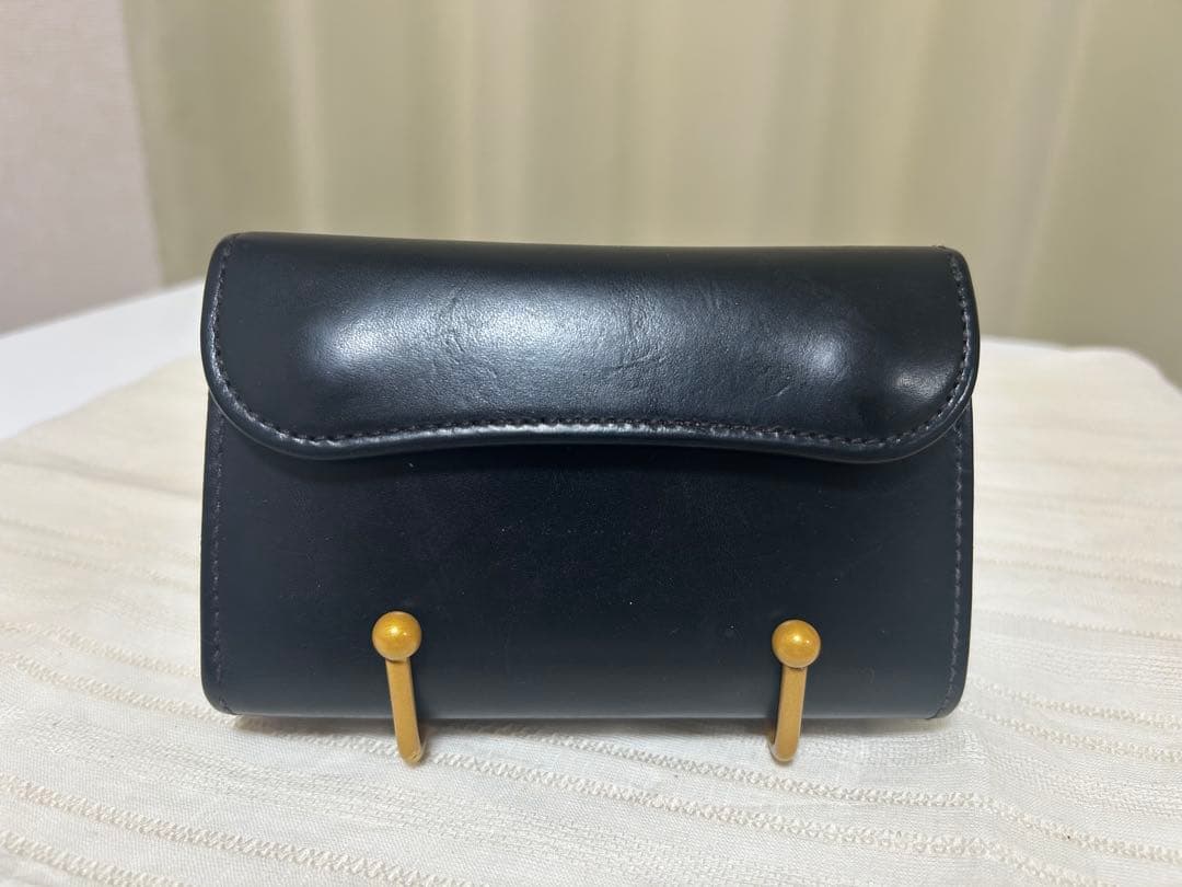 ワイルドスワンズ　WILDSWANS バーン