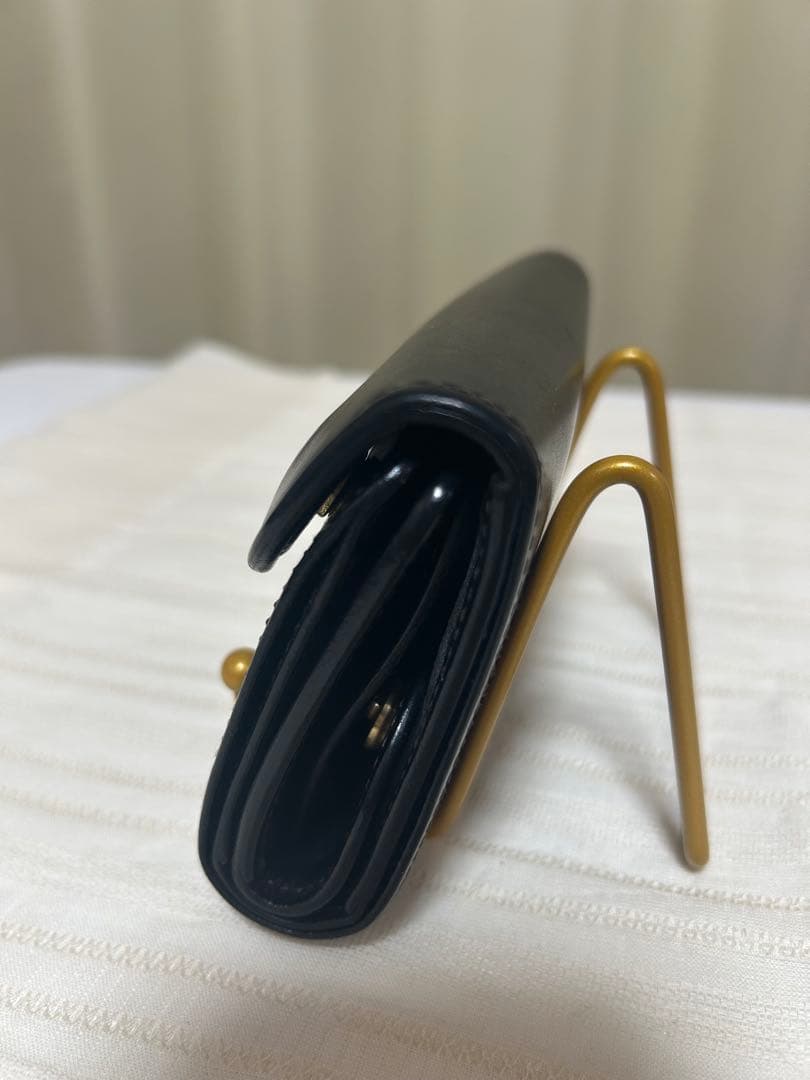 ワイルドスワンズ　WILDSWANS バーン