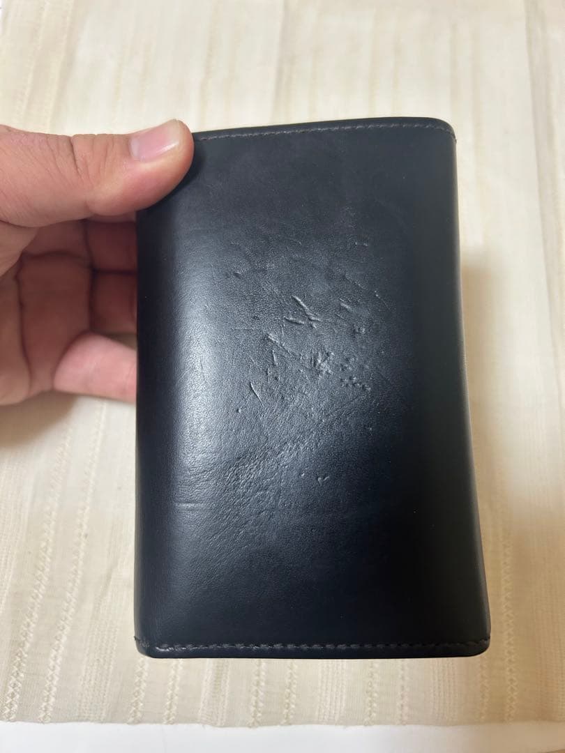 ワイルドスワンズ　WILDSWANS バーン