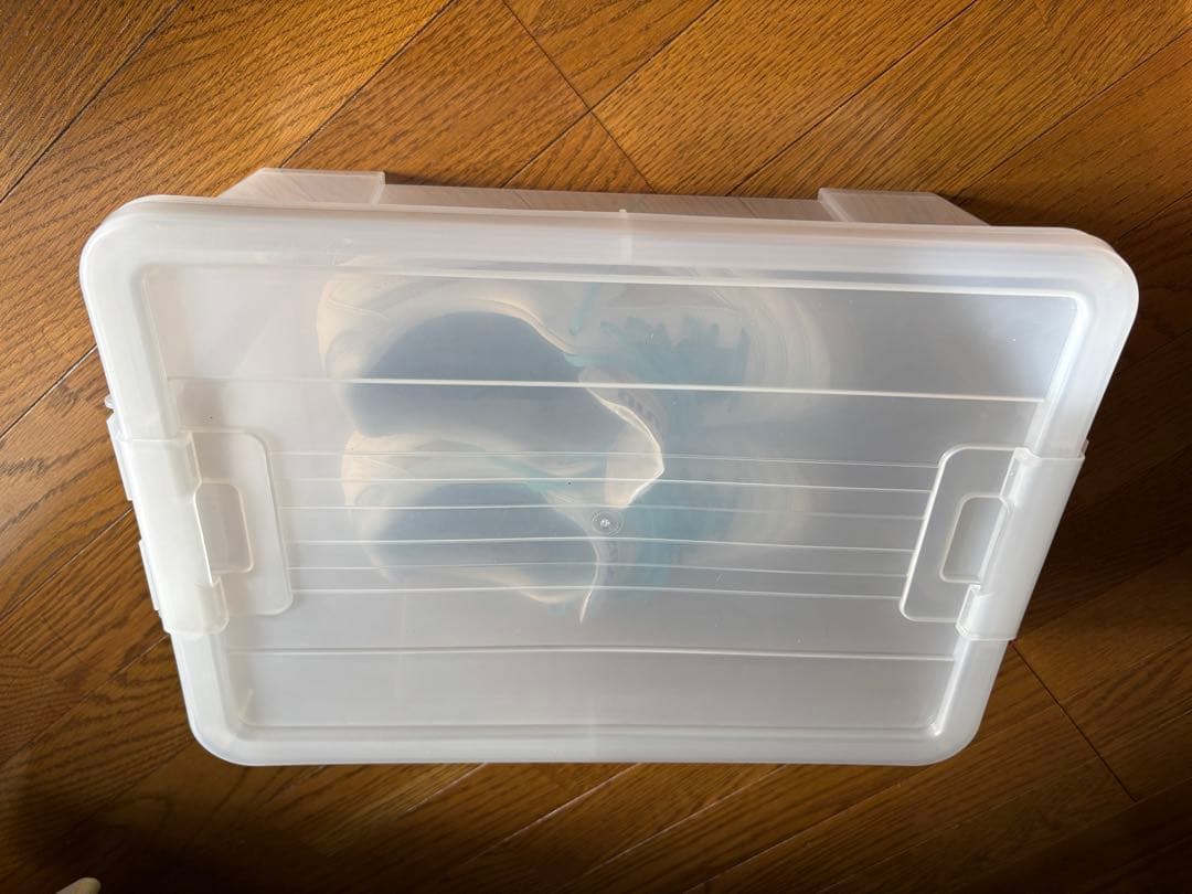 【限定】モレリア 26.5 ビクトリーゴールド in(少し訳あり)