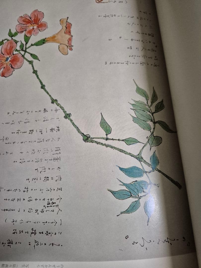 別冊美と工芸　綾子はりえ日記　Ⅰ&Ⅱ巻　宮脇綾子　希少オリジナル　2冊セット