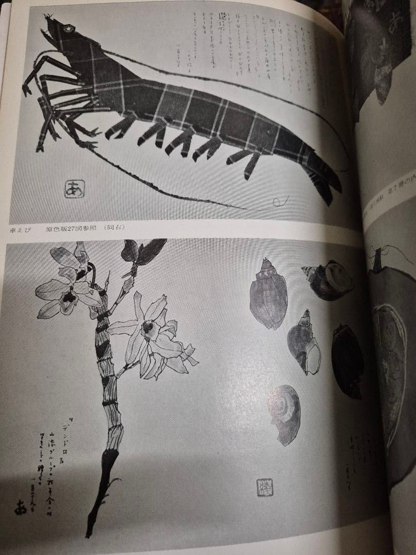 別冊美と工芸　綾子はりえ日記　Ⅰ&Ⅱ巻　宮脇綾子　希少オリジナル　2冊セット