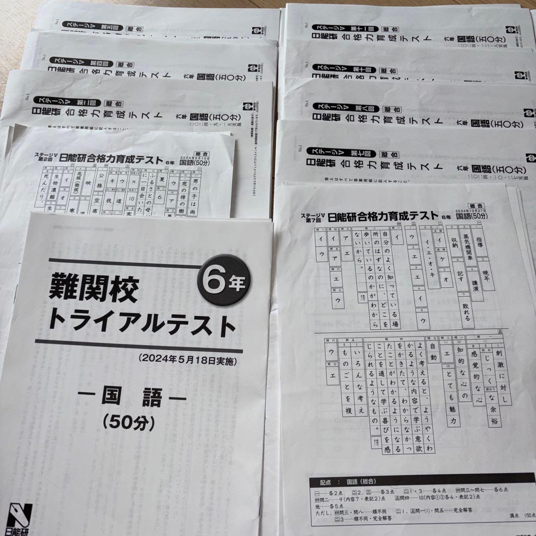 2024年度　日能研　6年生　学習力育成テスト　合格力育成　合格力実践