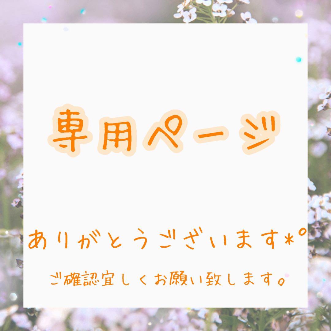 ペーターページ*°｜D.N.Aペンラポーチ×3