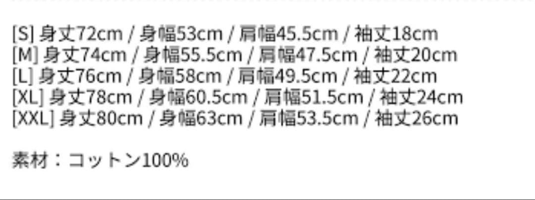 Lady Gaga 踊るか死ぬか 日本限定版Tシャツ Lサイズ