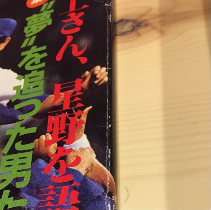 月刊ドラゴンズ 1988増刊号