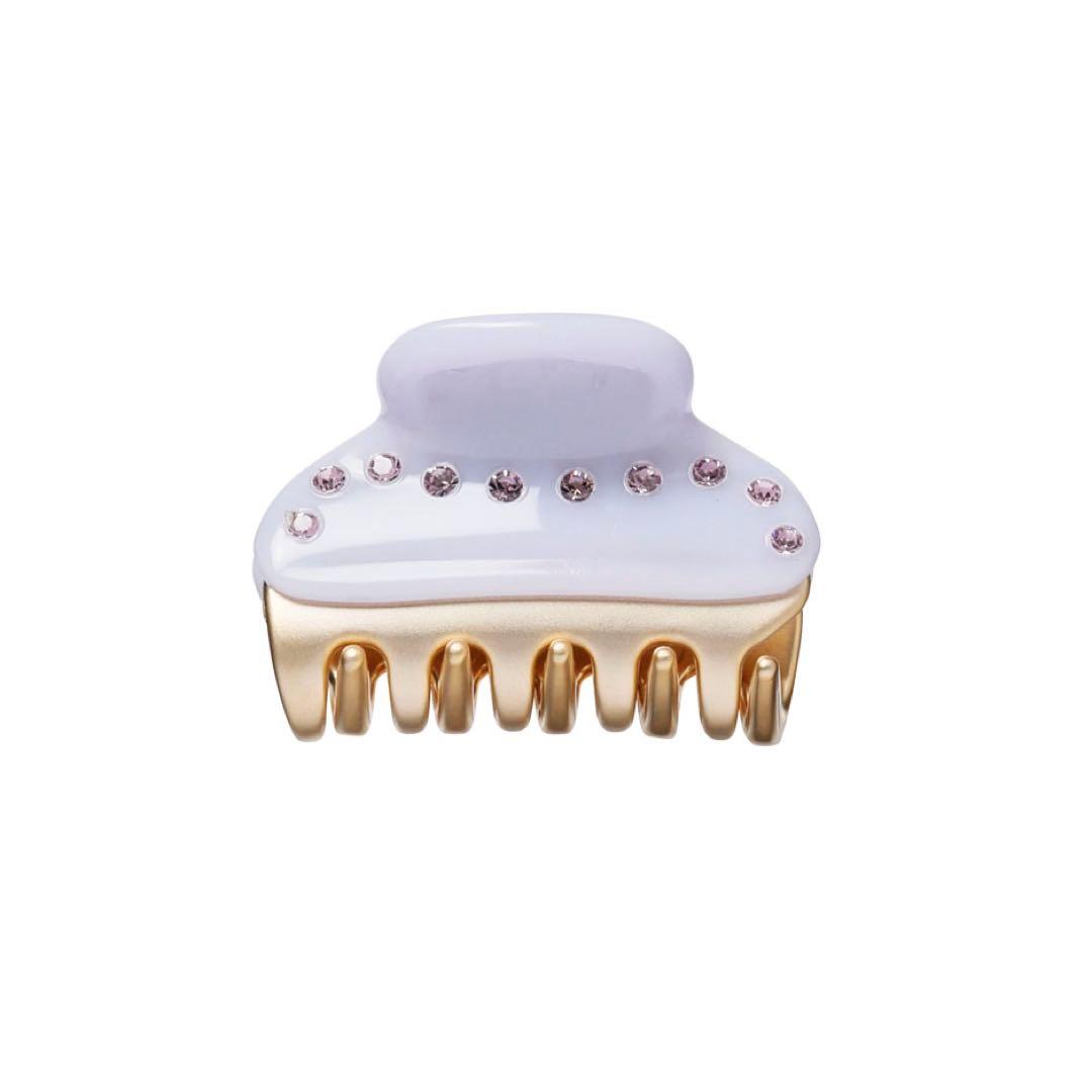 アレクサンドルドゥパリ 【VENDOME】 Sクリップ パープル ヴァンドーム