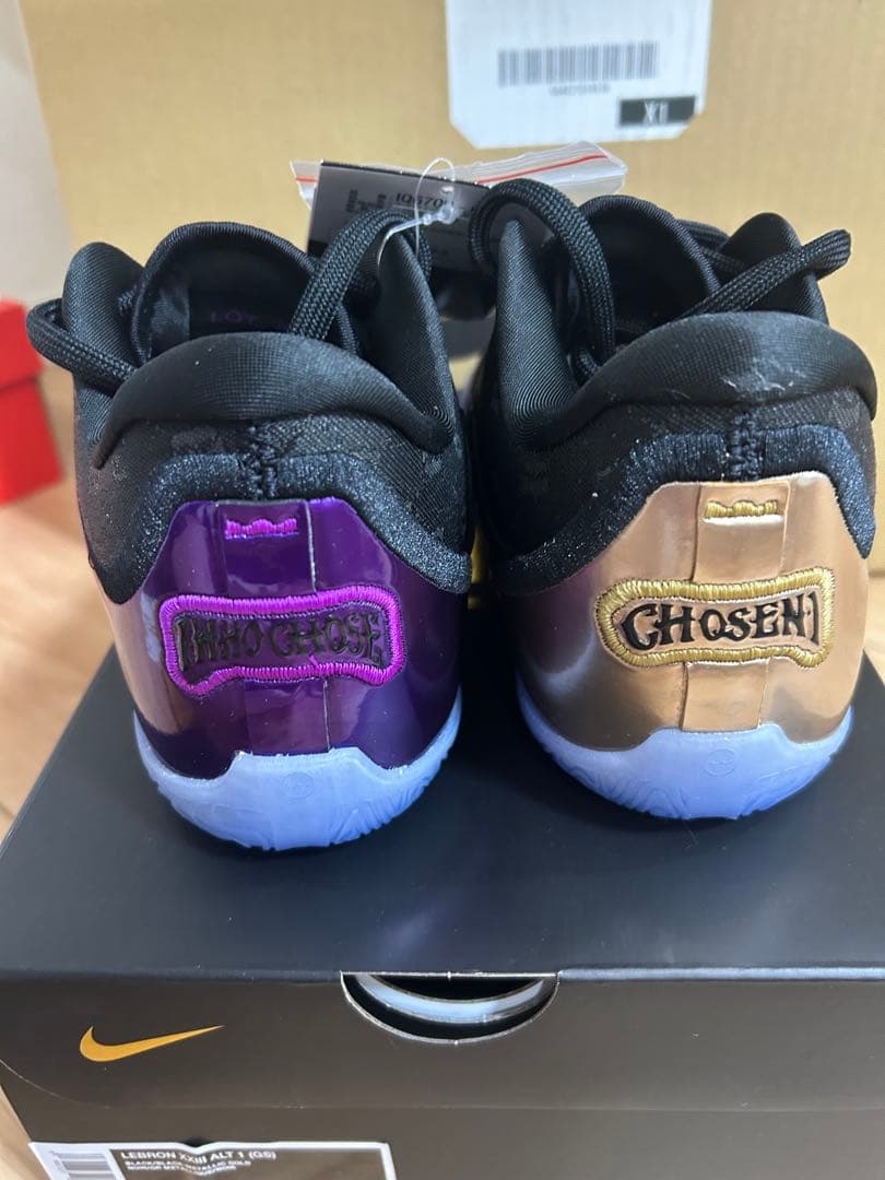 レブロン23 GS限定カラー　レア