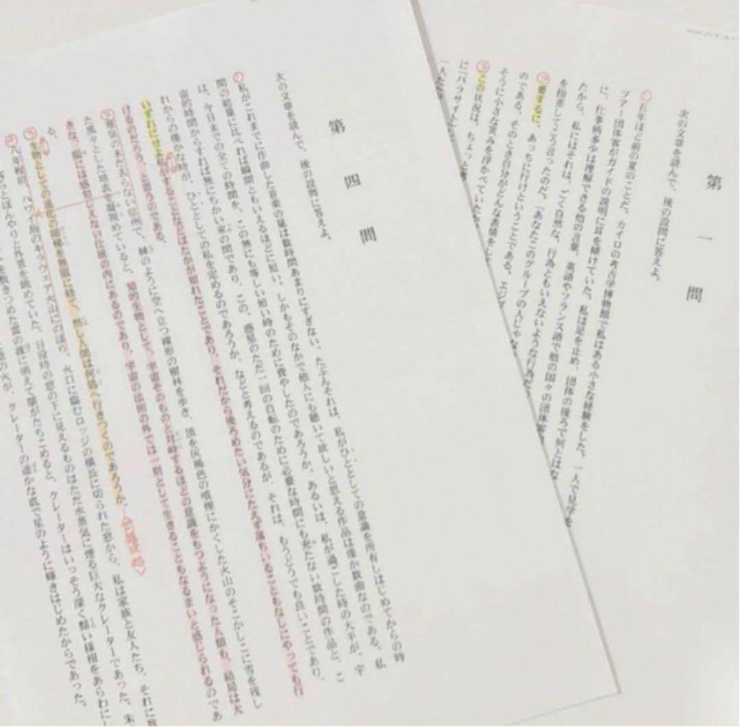 東大現代文1998年〜2022年 林修先生 解説プリント A4両面カラー