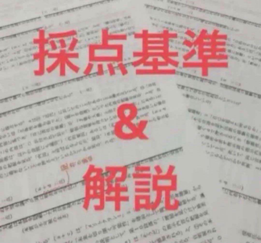 東大現代文1998年〜2022年 林修先生 解説プリント A4両面カラー