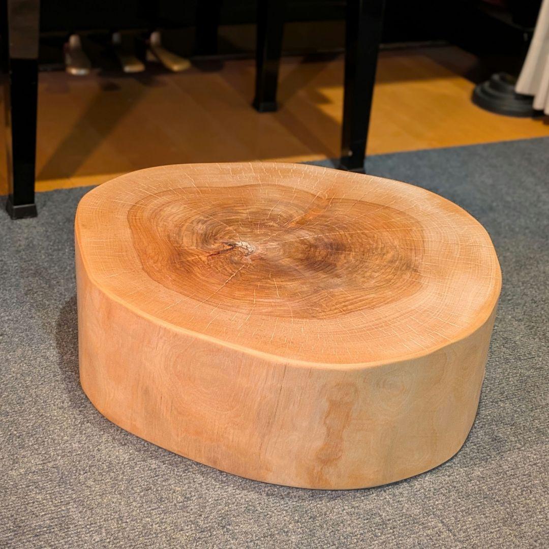 オールド　ウダイカンバ　切り株　輪切り　高さ約15㎝