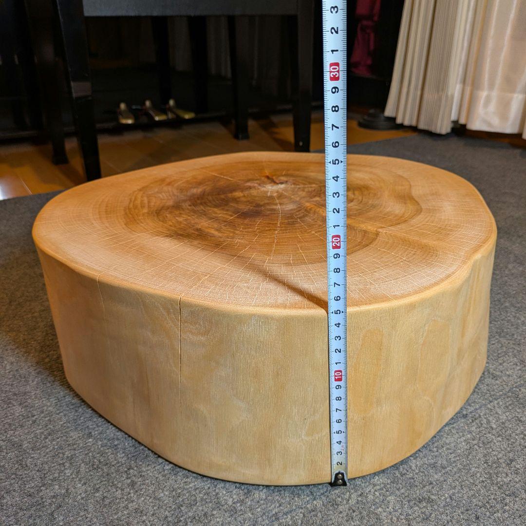 オールド　ウダイカンバ　切り株　輪切り　高さ約15㎝