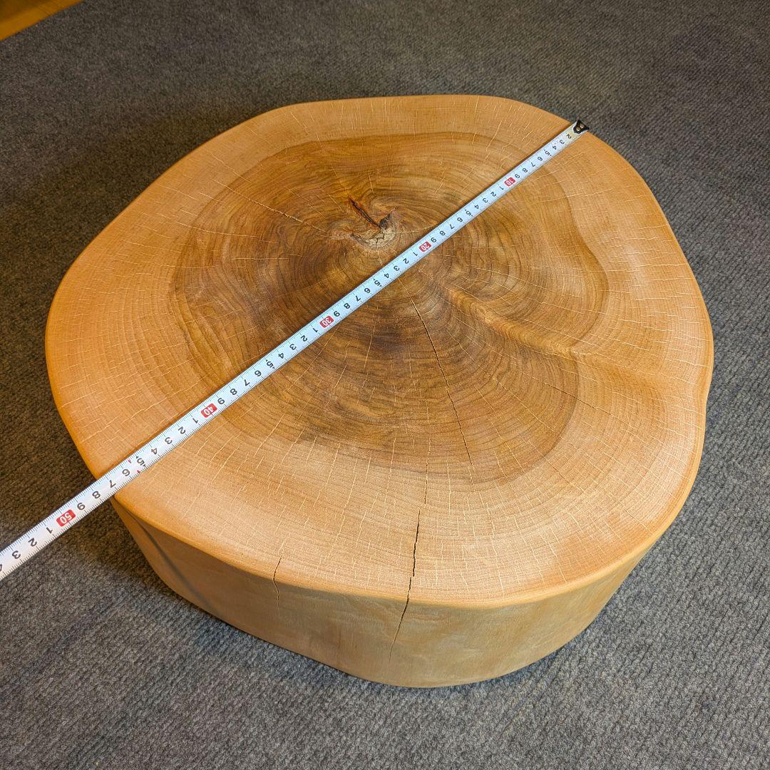 オールド　ウダイカンバ　切り株　輪切り　高さ約15㎝